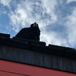 Meet your Posher, Ethan